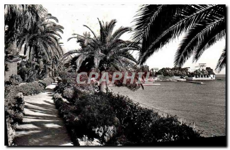 Modern Postcard Beaulieu Sur Mer Exotic Garden Au Fond Villa Kerylos