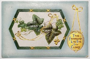 Ivy Freindship Greetings 1913 To Davidson Family Long Pine NE Postcard A34