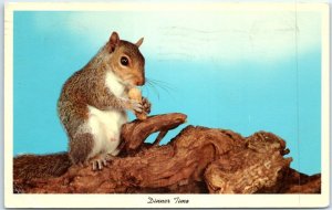Postcard - Squirrel/Chipmunk - Dinner Time
