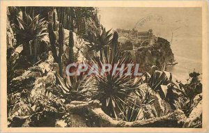 Old Postcard MONTE CARLO � Exotic Gardens and the Rock of Monaco