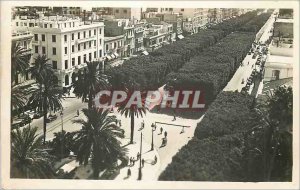 Modern Postcard Tunis Place of residence, avenue jules ferry