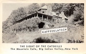 Catskill Mountain Cafe Big Indian, New York  