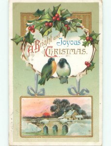 Divided-Back CHRISTMAS BIRDS SCENE Pretty Postcard W8547
