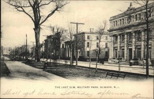 Newark New Jersey NJ Military Park The Last Elm c1910 Vintage Postcard