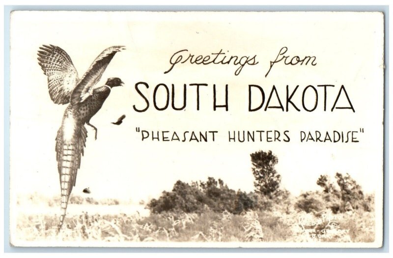 c1940's Greetings From South Dakota Pheasant Hunting RPPC Photo Vintage Postcard