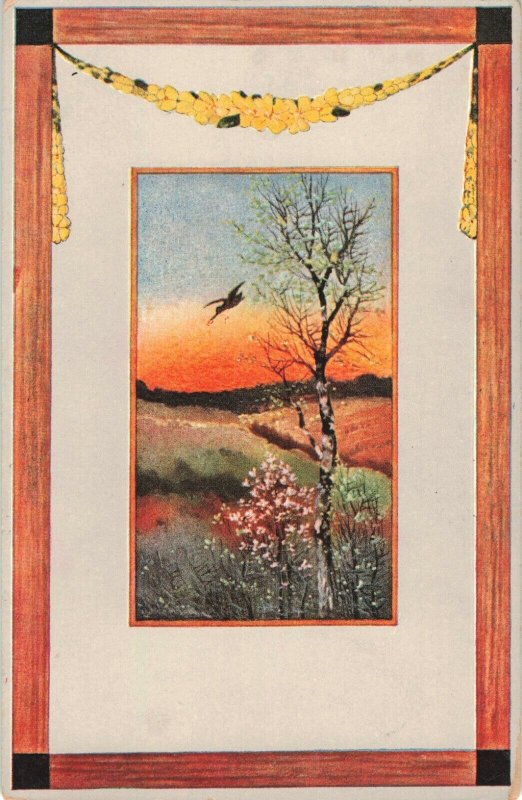 Circa 1907-15 Wood Frame Border Sunrise Country Scene Flowering Tree Postcard