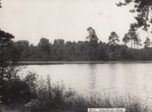 Henley Park Lake Pirbright Surrey Vintage Postcard