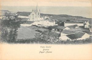 Faial Azores Portugal birds eye view Castel Branco and area antique pc Z19618