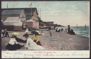 Silver Beach,St Joseph,MI Postcard