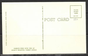 Florida, Miami - Parrot Jungle - [FL-356]