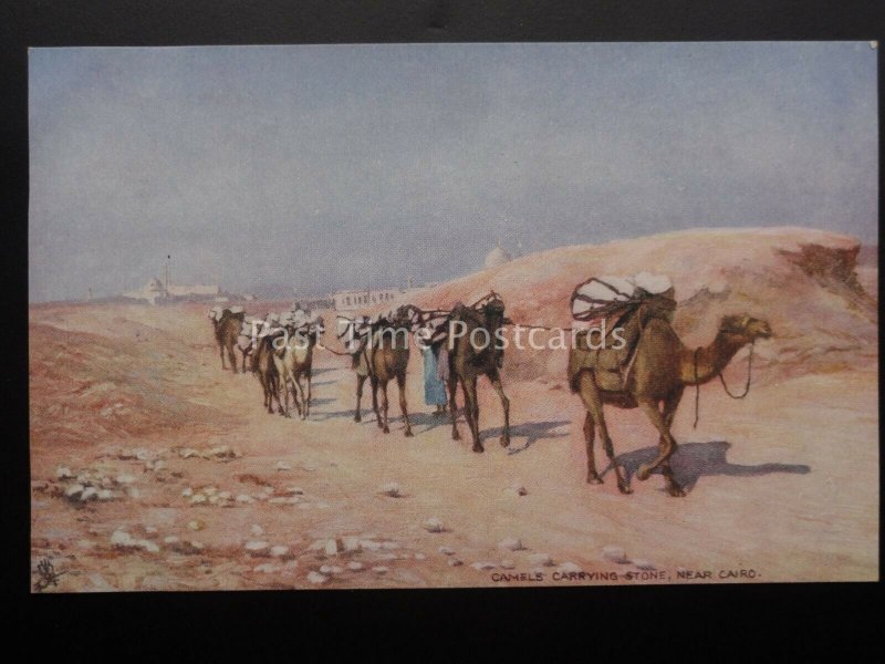 Raphael Tuck Set of 6 PICTURESQUE EGYPT c1905 Series 7204