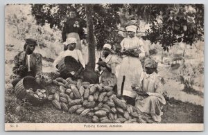 Jamaica Women Pulping Cocoa Postcard B46