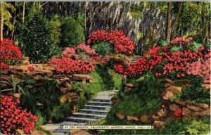 At the Rockery Bellingrath Gardens, Mobile AL Vintage Postcard H64