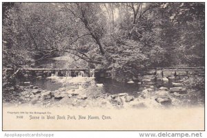 Scene In West Rock Park New Haven Connecticut Rotograph