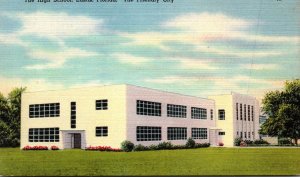 Florida Eustis The High School