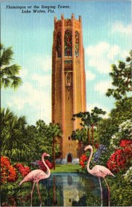 Florida Lake Wales Flamingos At The Singing Tower Curteich