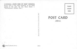 Cardinal â€“ state bird of West Virginia Birds Unused 