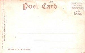 Lake Placid Inn New York Postcard