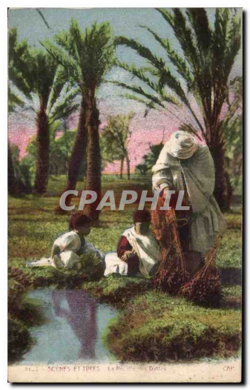 Old Postcard Morocco Scenes And Types harvest dates