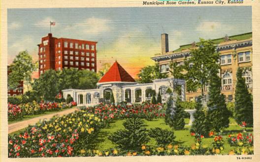 KS - Kansas City. Municipal Rose Garden