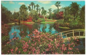 Cypress Gardens, Winter Haven, Florida, Vintage Chrome Postcard #2