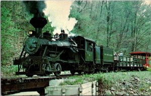 Trains Cass Scenic Railroad Locomotive No 3 West Virginia