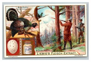 Vintage 1880's Victorian Trade Card Liebig's Fleisch Extract - Quack Medicine