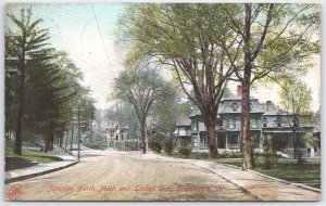 Vintage Postcard Junction North Main & Linden St Brattleboro VT 1907