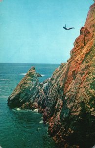 Vintage Postcard Champion High Jumper at the Quebrada Acapulco Mexico MX