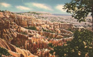 Vintage Postcard Bryce Canyon Zion & Grand Canyon National Park Attractions Utah