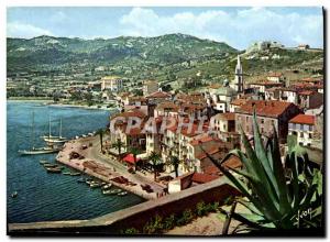 Postcard Modern Colors And Light From France Corsica oasis Beaute Calvi Lower...