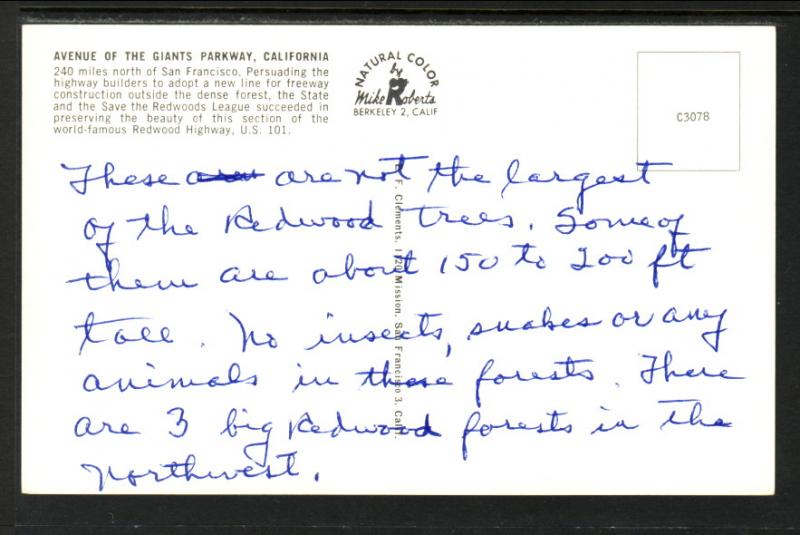 Redwoods,Avenue of the Giants Parkway,CA BIN