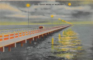 Gandy Bridge by Moonlight Between Tampa and St Petersburg Tampa FL