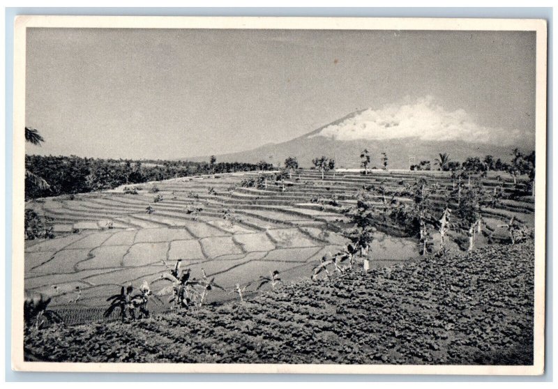 Bogor West Java Indonesia Postcard Mount Salak Fields View c1920's Antique