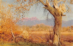 Organ Mountains east of Las Cruces - Las Cruces, New Mexico NM