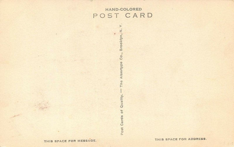 LP85 Mount Washington White Mountains New Hampshire Postcard Albertype