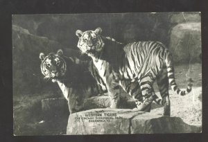 CHICAGO ILLINOIS ZOOLOGICAL PARK ADVERTISING VINTAGE POSTCARD WESTERN TIGER