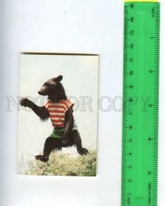 259324 USSR Circus trained BEAR Tightrope walker Pocket CALENDAR 1989 year