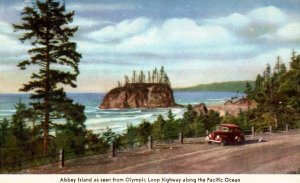 Washington - Abbey Island from the Olympic Loop Highway - c1930