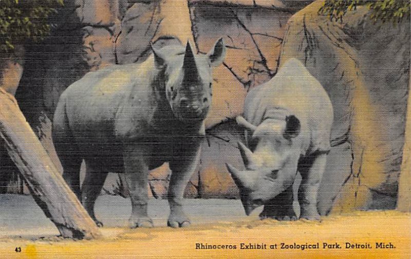 Rhinocerous Exhibit Detroit, Michigan, USA Rhinoceros Unused 