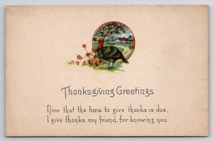 Thanksgiving Greetings Time To Give Thanks Darling Turkey Postcard K28