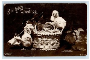 1907 Birthday Greetings Chicks Flowers Rotograph RPPC Photo Antique Postcard