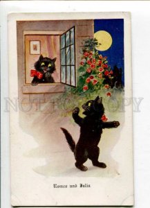 402725 ROMEO & JULIET Dressed CAT UnSign LOUIS WAIN vintage PC