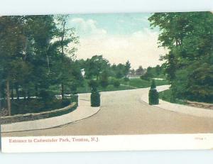 Unused Divided-Back PARK SCENE Trenton New Jersey NJ H2617