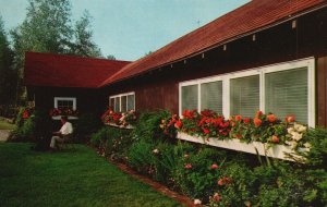 Postcard Colorful Tuberous Begonias Freedom Acres Farm Wilmot Flat New Hampshire