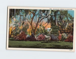 Postcard An Azalea Garden In Dixieland