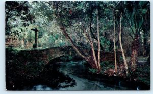 OCALA NATIONAL FOREST, FL~ Stone Bridge JUNIPER SPRINGS RECREATION AREA Postcard