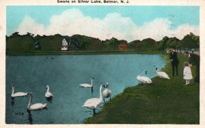 Vintage Postcard 1933 Feeding The Swans on Silver Lake Belmar New Jersey N. J.