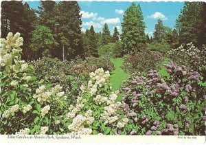 Lilac Garden at Manito Park Spokane Washington  4 by 6