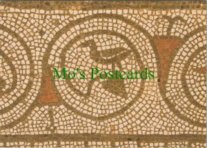 Sussex Postcard - Fishbourne Roman Palace, Mosaic Floor  RR15498